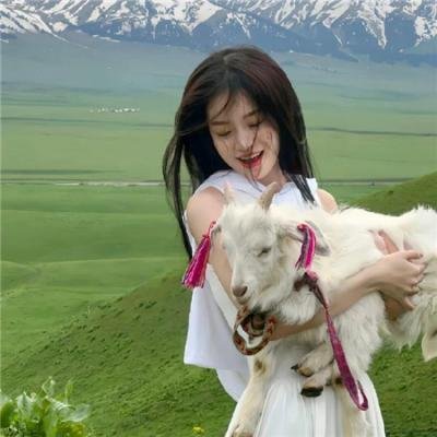 战地黄花分外香